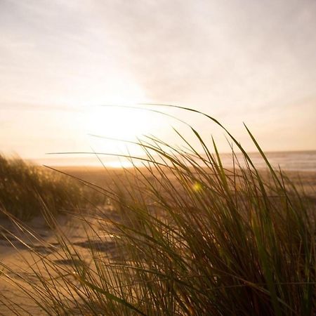 Kleine Nordseewelle Ohne Hund Norden Ngoại thất bức ảnh