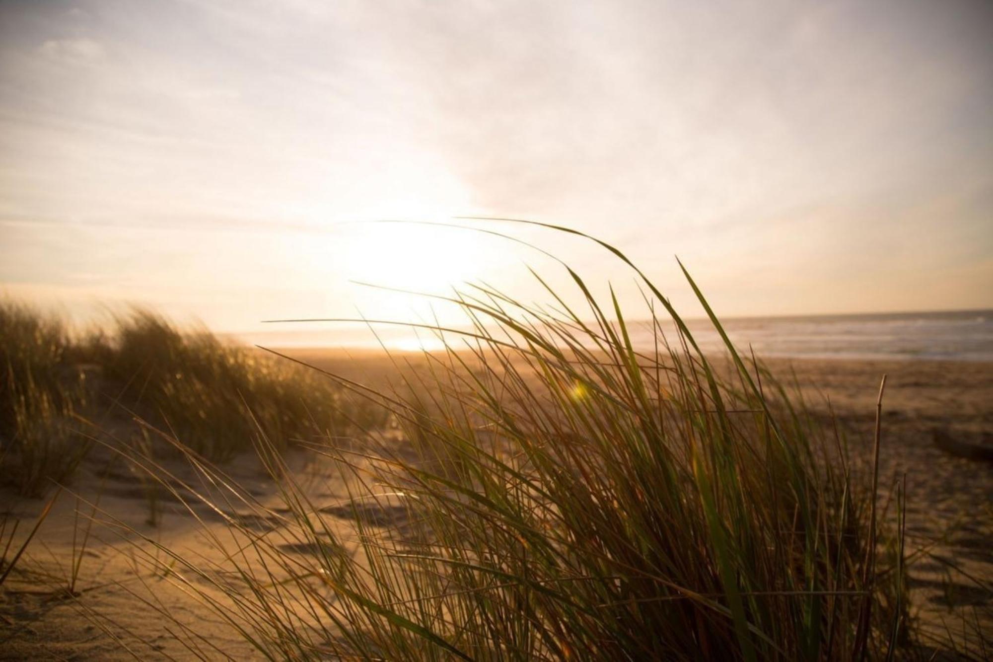 Kleine Nordseewelle Ohne Hund Norden Ngoại thất bức ảnh